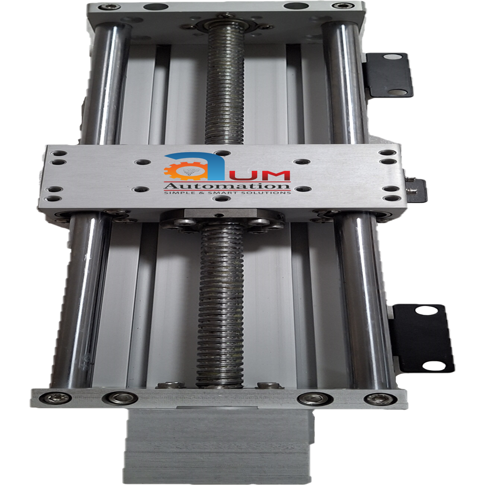 Ms Ss Ball Screw Linear - Color: Silver