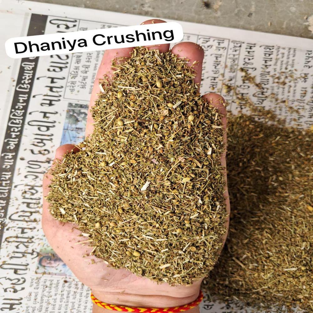 Dhaniya patti / Dhaniya crushing