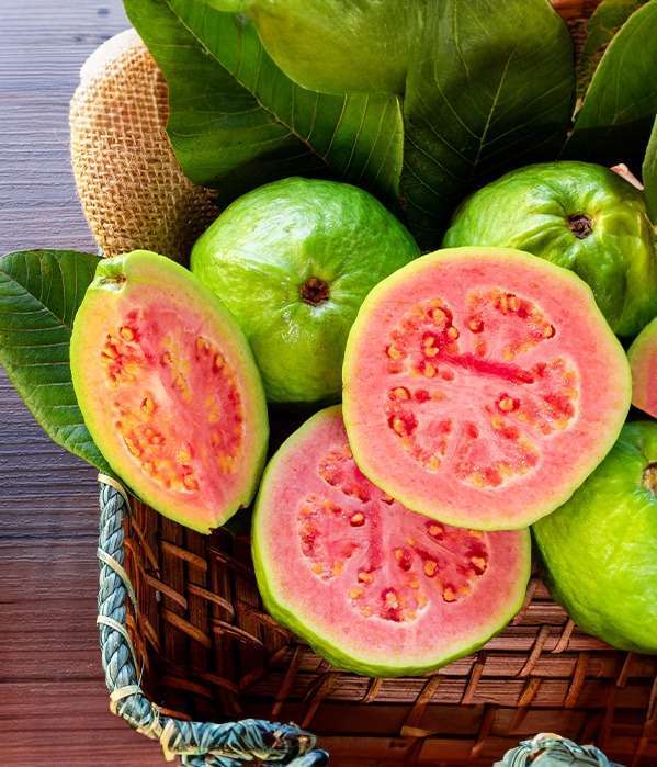 Red Guava Slice