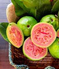 Red Guava Slice - Cultivation Type: Common