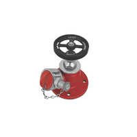 Ss Fire Hydrant