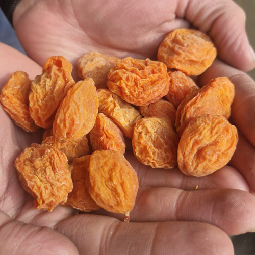 Dry Apricot