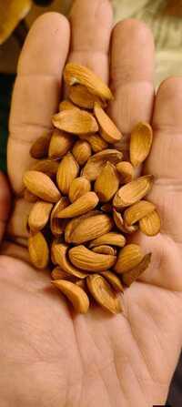 Mamra Almond