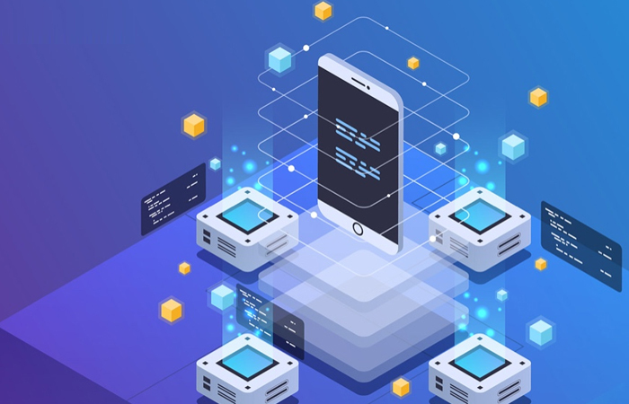 Web based Application Development