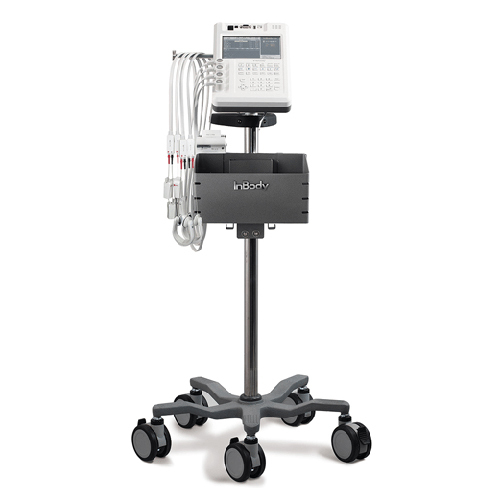 In Body S10 Scale