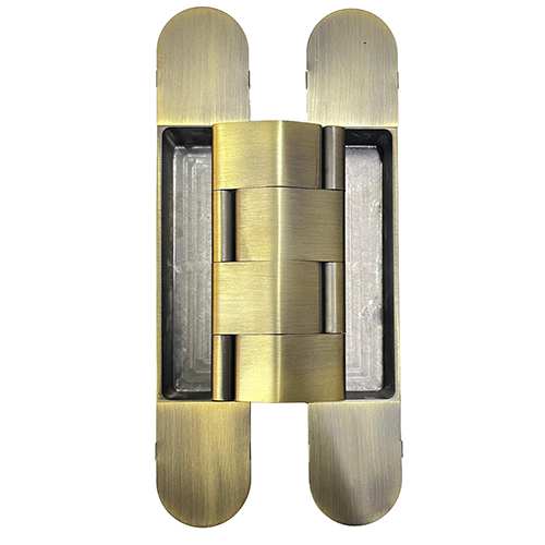 Brass Concel Hinges