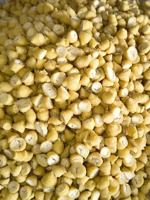 High Protein Moong Dal Badi