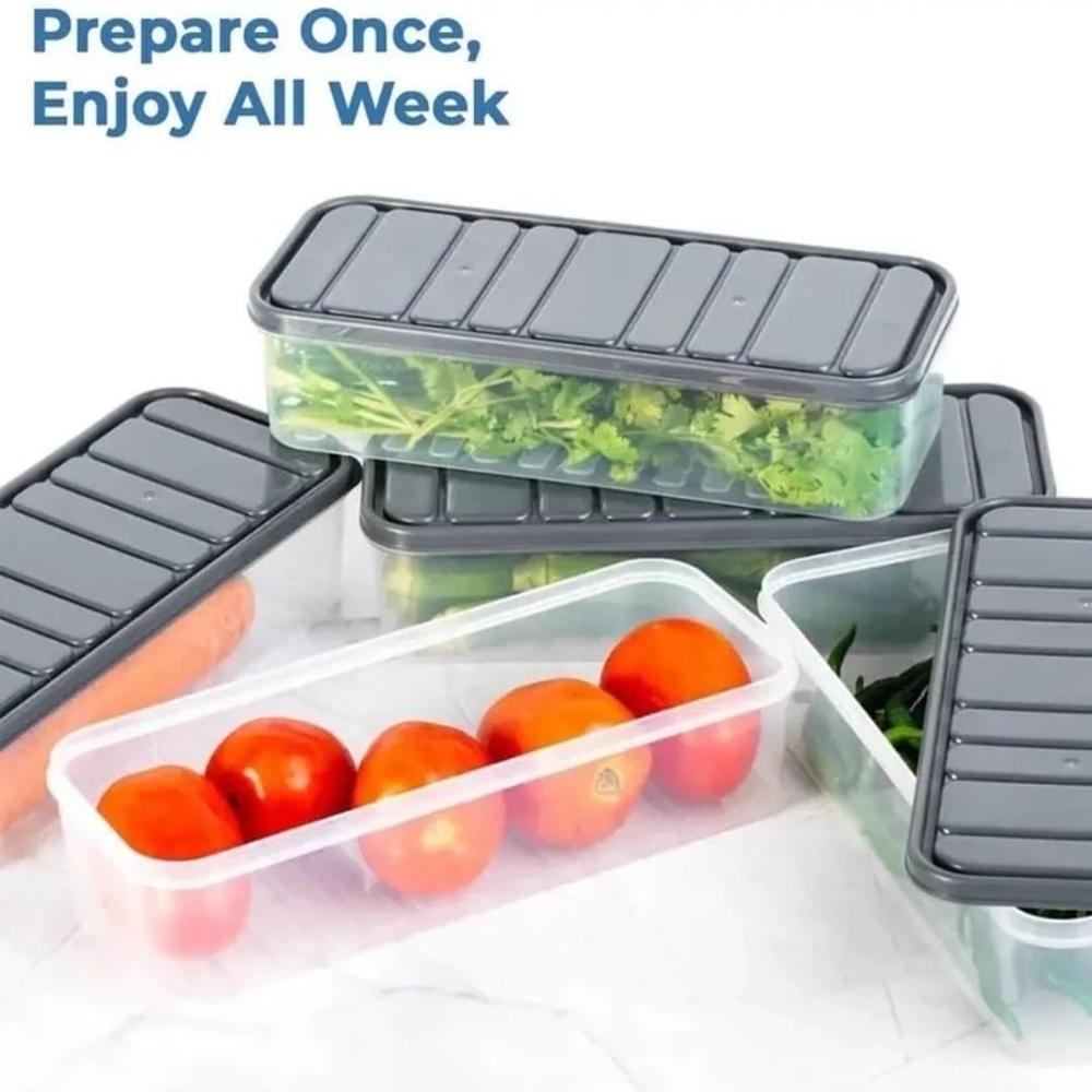 Fridge Container