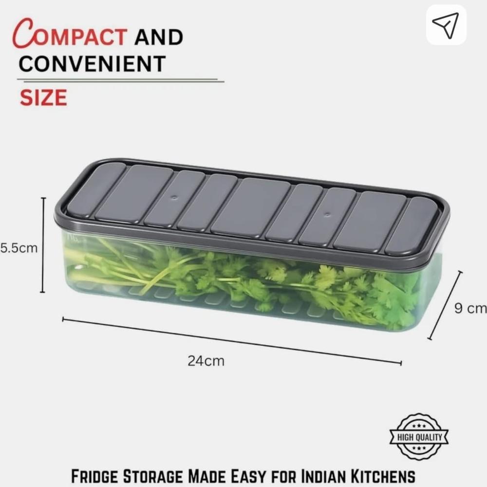 Fridge Container
