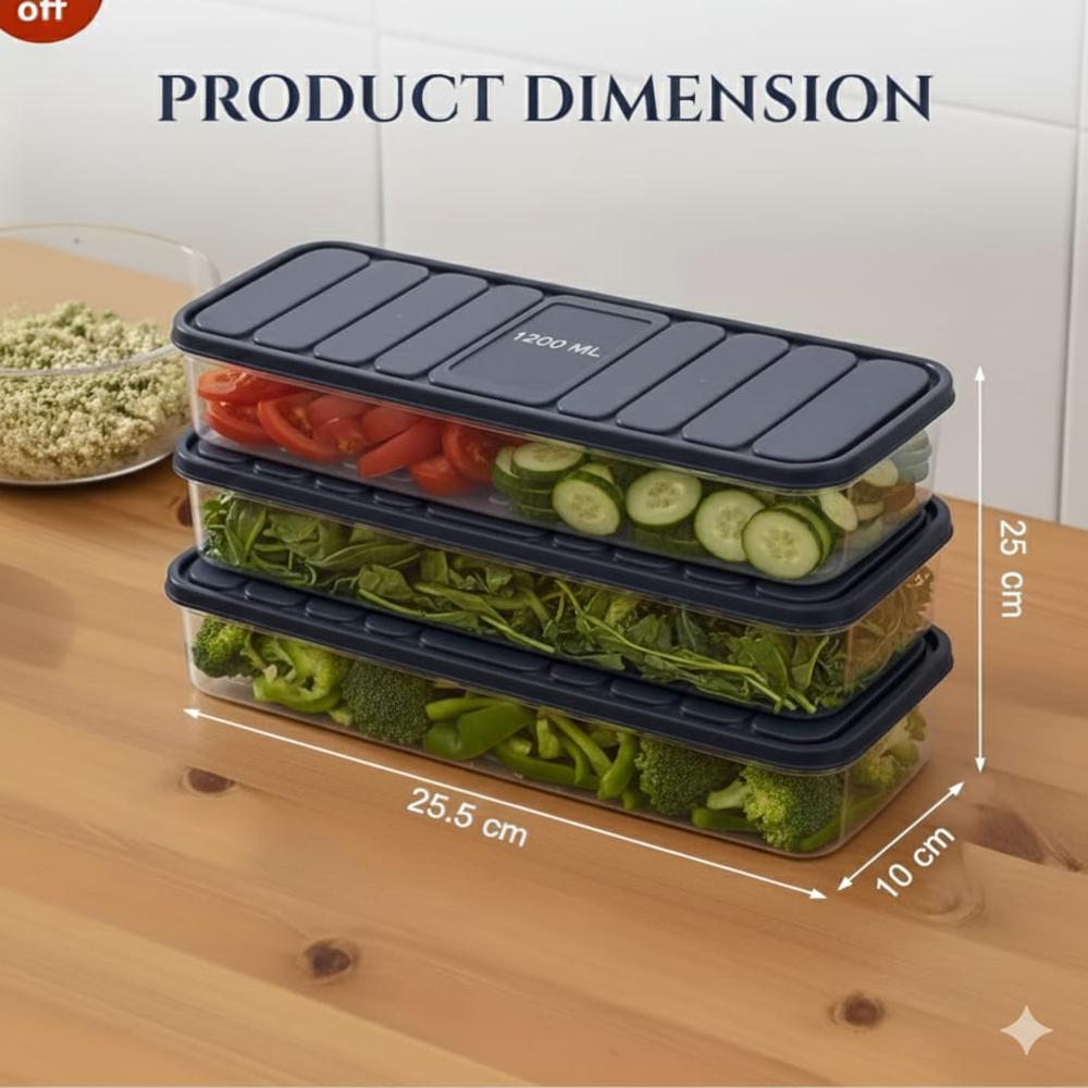 Fridge Container