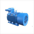 Explosion Proof Motor