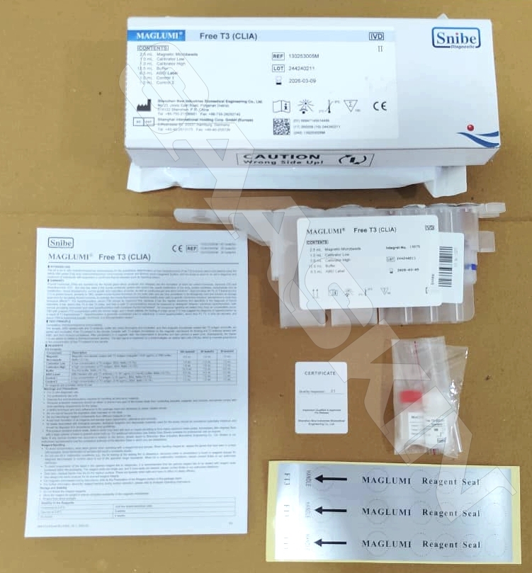 Snibe MAGLUMI FT3 (CLIA)