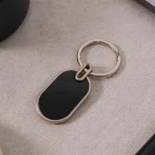 Premium Oval Metal Keychain with Glossy Black Inlay (SS-201)
