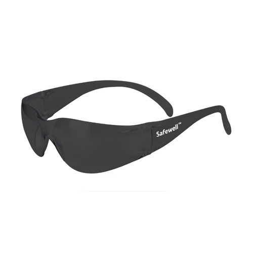 ASP 101 Safety Goggles