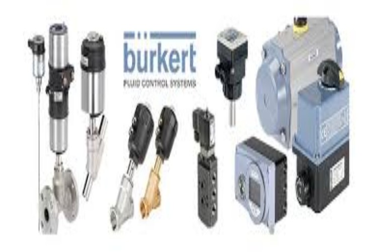 Burkert Process Instrumentation - Process Instrumentation and Control System