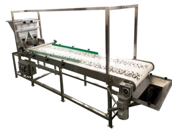 Inspection Conveyor - Stainless Steel | Enhanced Durability, Corrosion Resistance, And Efficient Material Handling