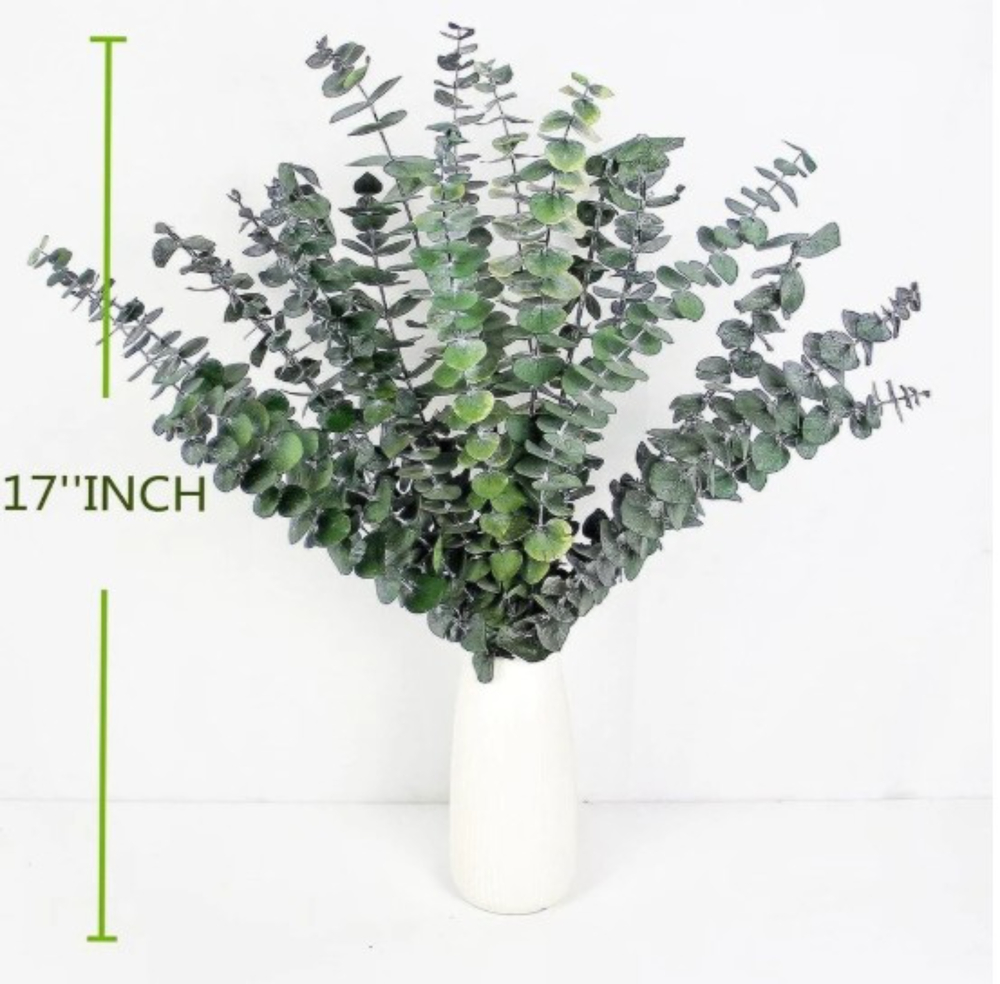 Preserved Eucalyptus Dried Flowers - Breed: Natural