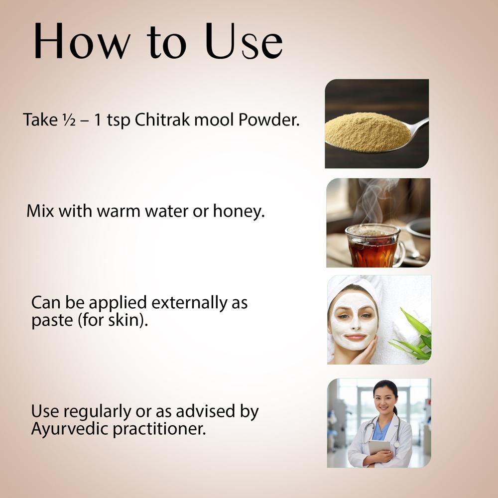 Lebrostone Chitrak Mool Powder | Herbal Powder for Digestive Health, Detoxification, Energy & Vitality | 100g