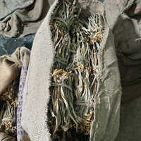 Dry Bombay Duck - Color: Beige
