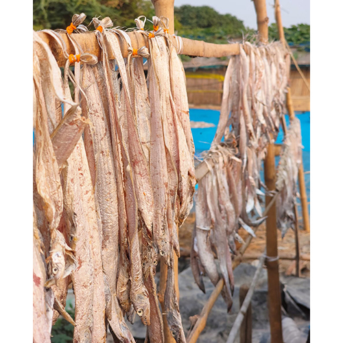 Sun Dried Ribbon Fish