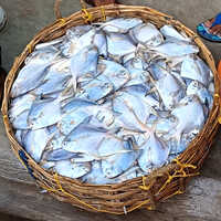 Pomfret Fish