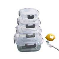Hot Selling Square Shape Airtight Glass Lunch Box With Pp Lid And Silicon Wing