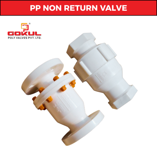 Screwed White End PP Foot Valve
