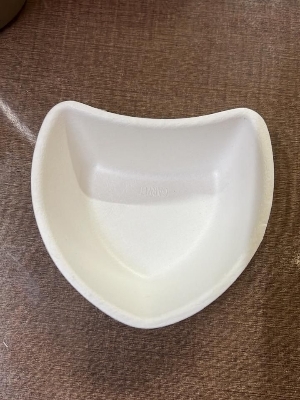 Disposable Bowl