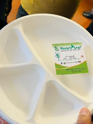 4 compartment disposable plates