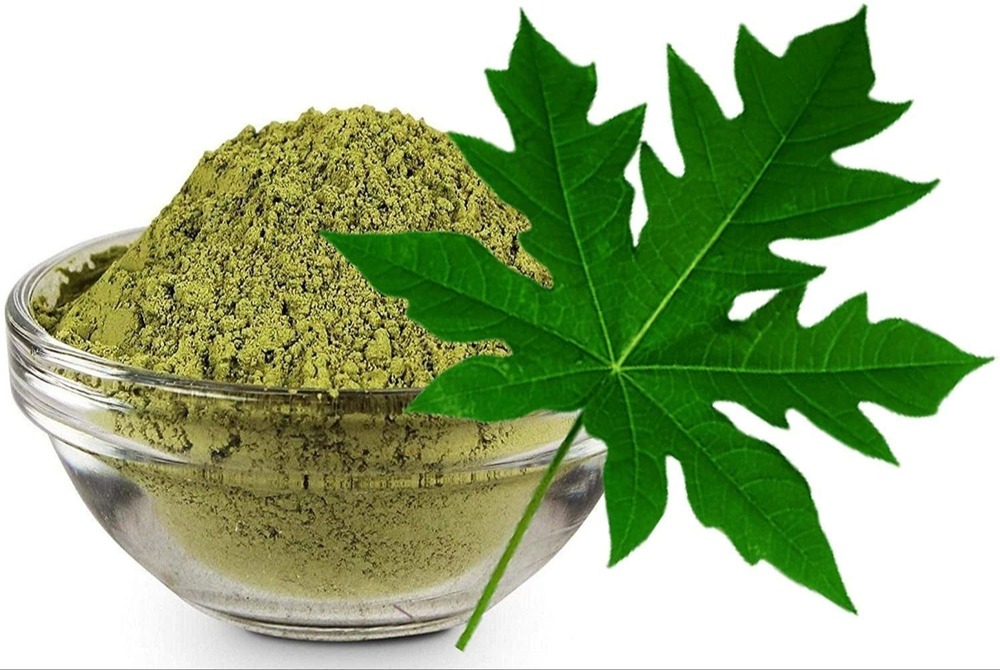 Papaya Leaf Extract Powder - Color: Green