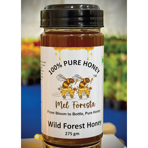 Wild Forest Honey - Flavor: Sweet