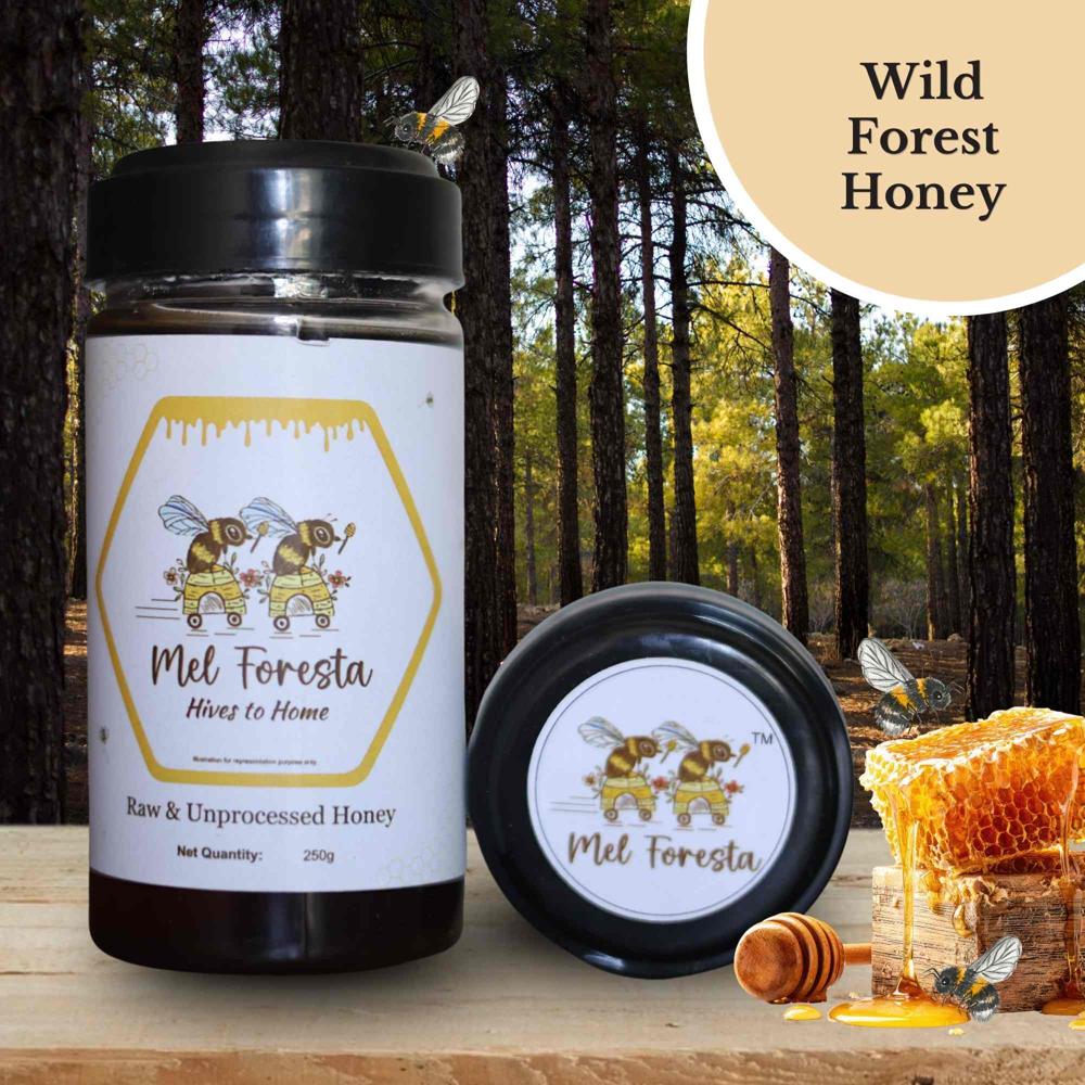Wild Forest Honey - Flavor: Sweet