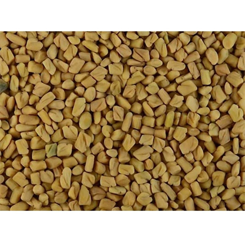 Fenugreek Seed