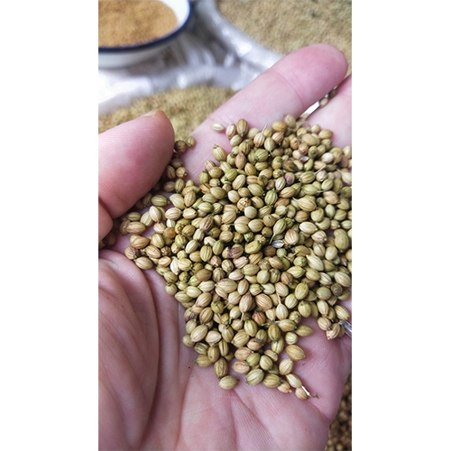 Whole Coriander