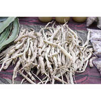 White Musli Root - Purity: 99.9 %