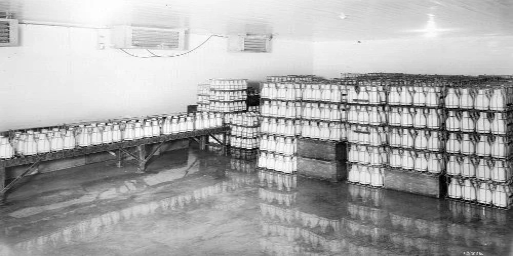 Dairy Product Cold Storage Room - Capacity: 2 T
