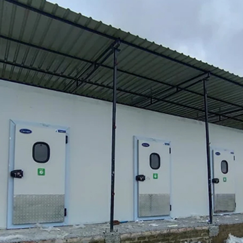 Carrier Banana Ripenig Chamber