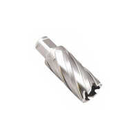 Annular Cutting Bit