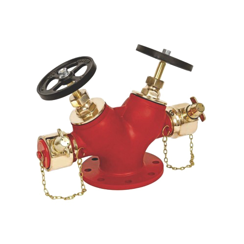 Double Outlet Landing Valve