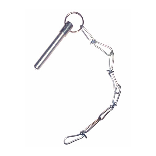 Chain Pin