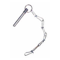 Chain Pin