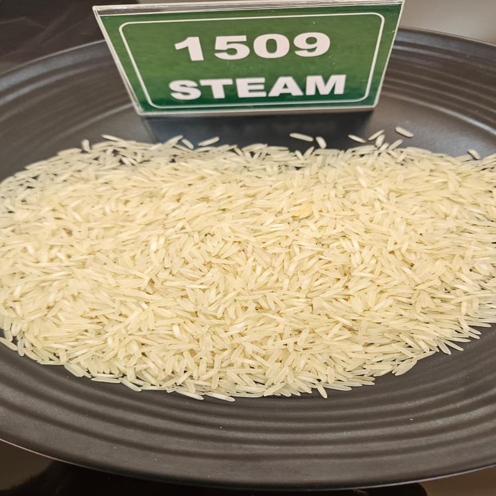 1509 Basmati Steam - Whole Grain, White, 8.4mm | Strong Natural Aroma, Non-sticky, Double Polished, Sortex Cleaned