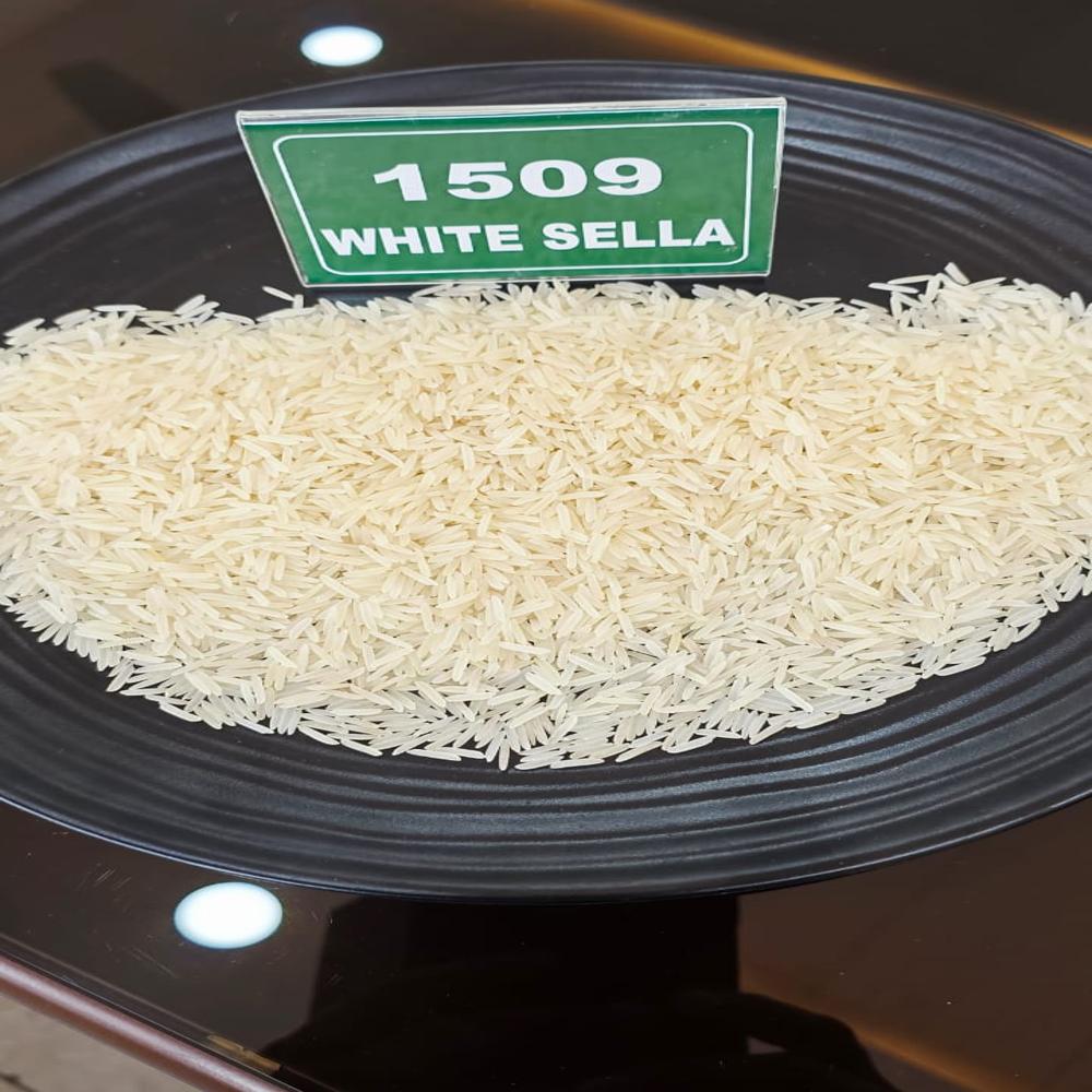 1509 White Sella - Double Polished White Basmati Rice, 8.35mm Grain, 2-2.5x Cooking Elongation, Mild Aroma