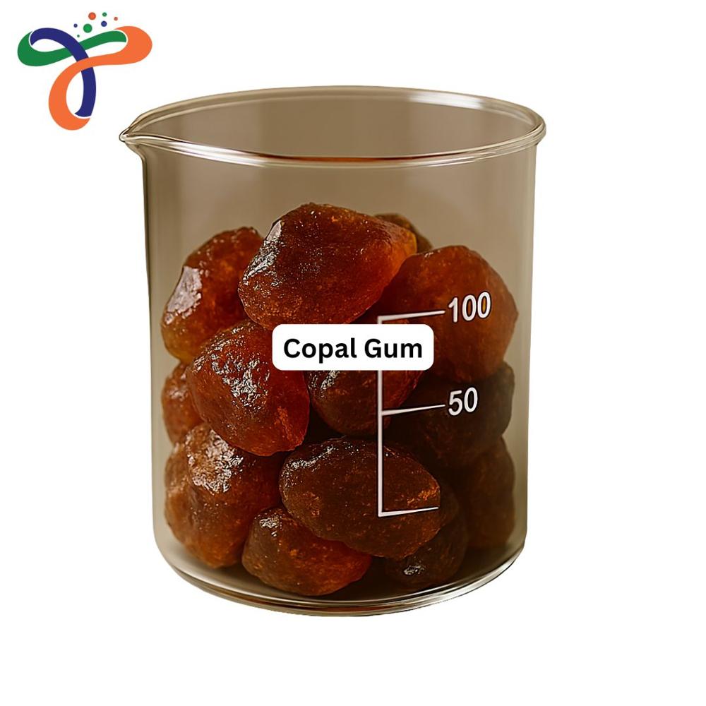 Copal Gum (9000-14-0)