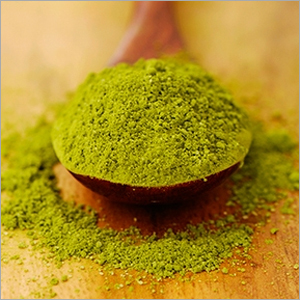 Green Tea Extract - Instant Tea Powder, Green Color, 1 Kg Pack | Energizing Natural Taste, 30%+ Polyphenols, Eco-Friendly, Low Moisture Content
