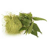 green-dry neem leaf powder