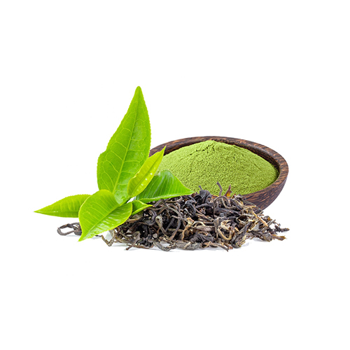 green tea extract