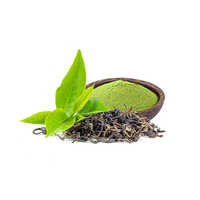 green tea extract