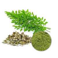 moringa extract