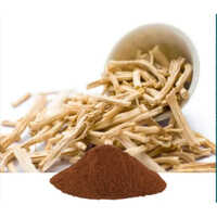 shatavari extract powder